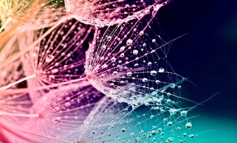 Заставки на главный экран телефона