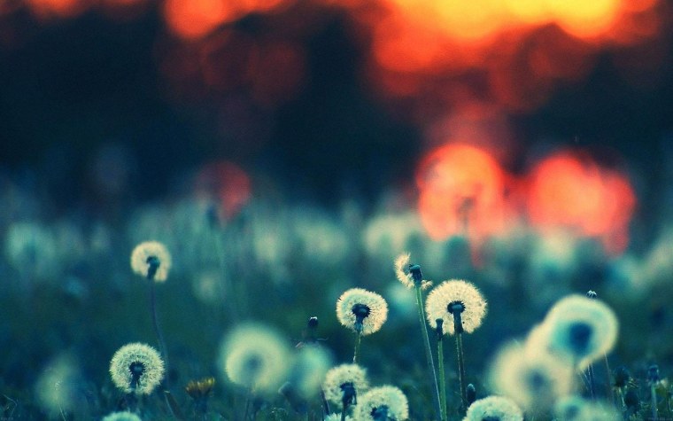 Разбитый экран компьютера