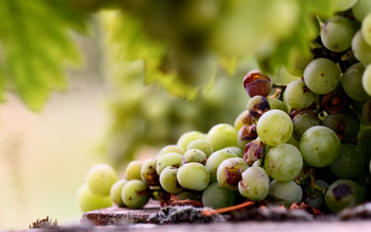 Фрукты в воде