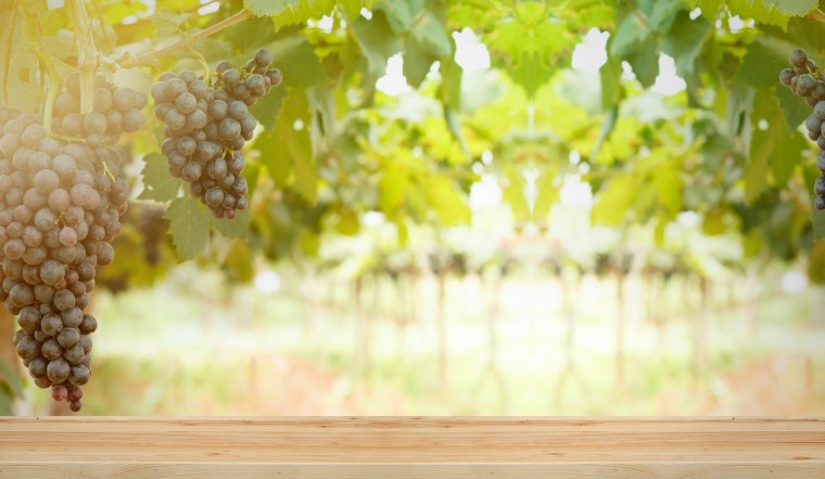 Виноград желто-зеленый