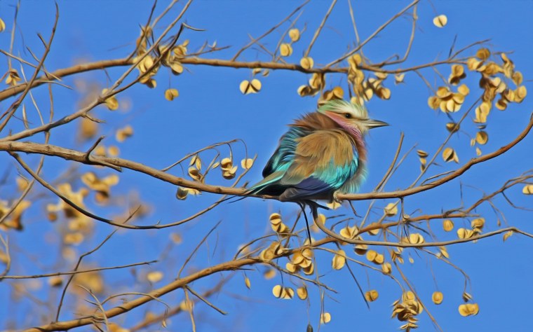 Весна апрель птицы