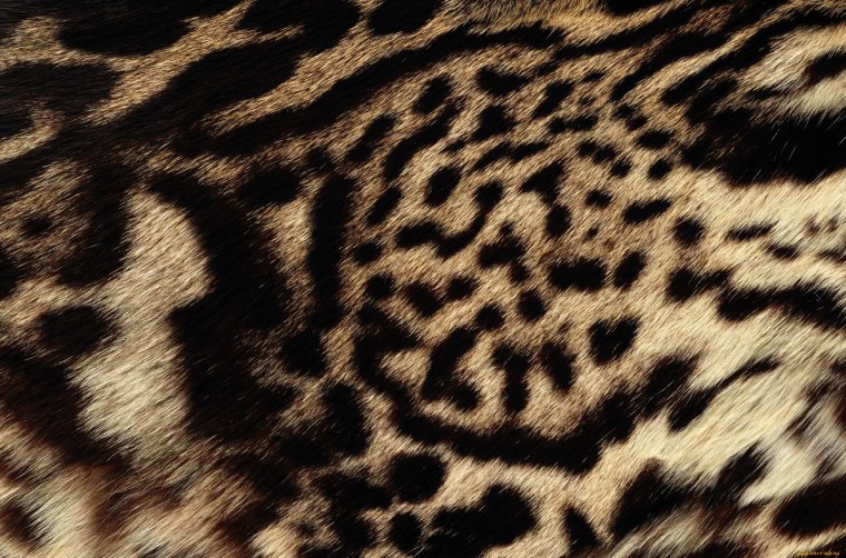 Пятнистая шкура