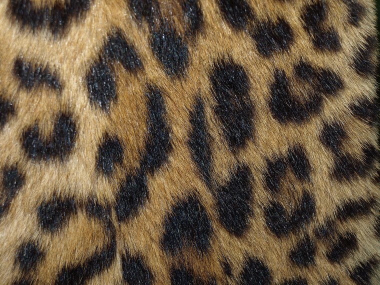 Кожа леопарда