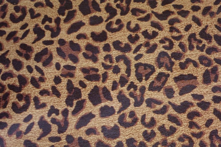 Леопардовый ковер +100500