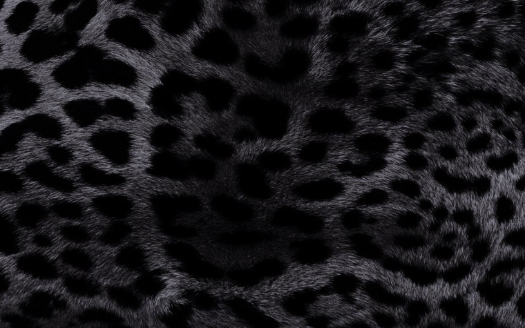 Шкура гепарда