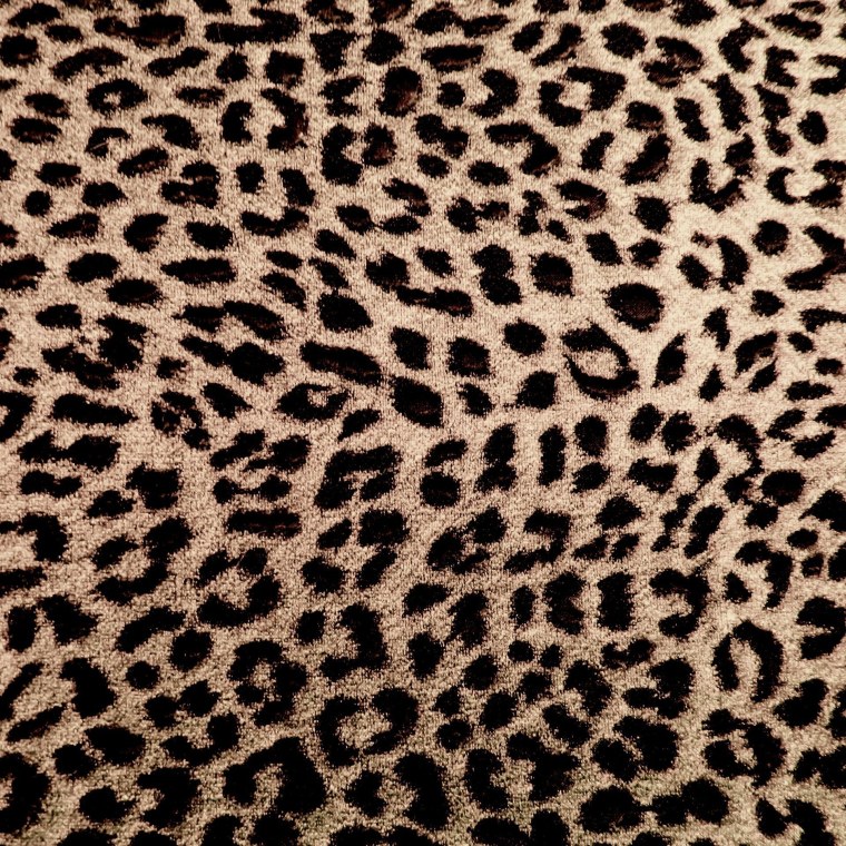 Леопардовый принт