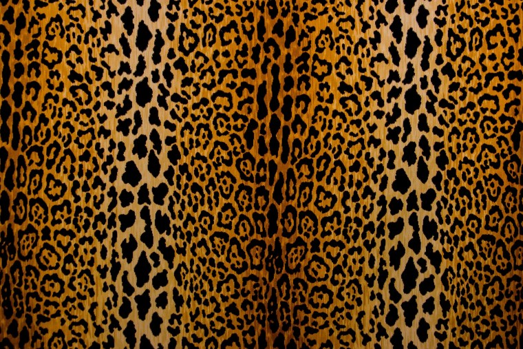 Леопард фон
