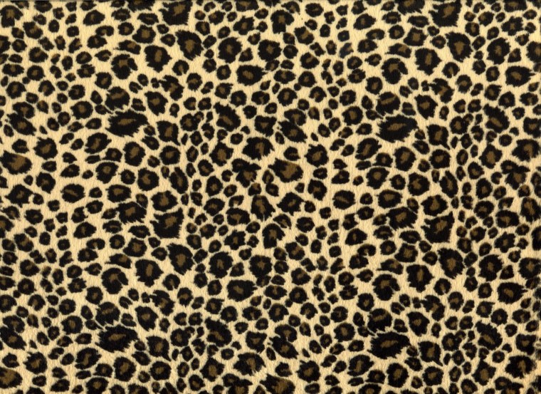 Леопардовый принт вектор