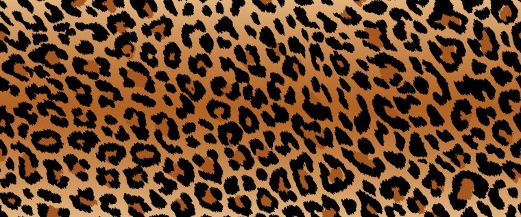 Леопардовая шкура