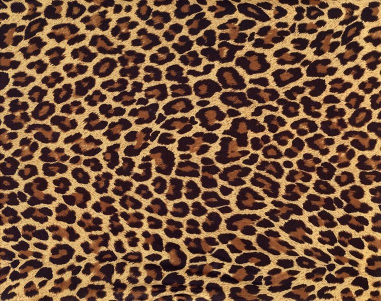 Леопардовый принт