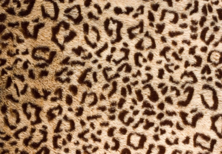 Леопардовый принт на белом фоне