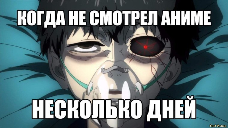 Посты для анимешников