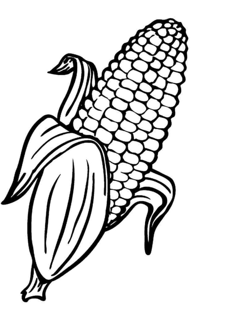 Кукуруза раскраска для детей