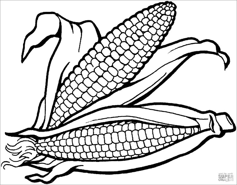 Кукуруза раскраска