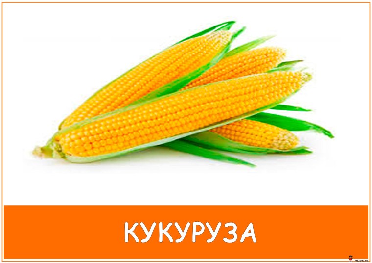 Карточки Домана кукуруза