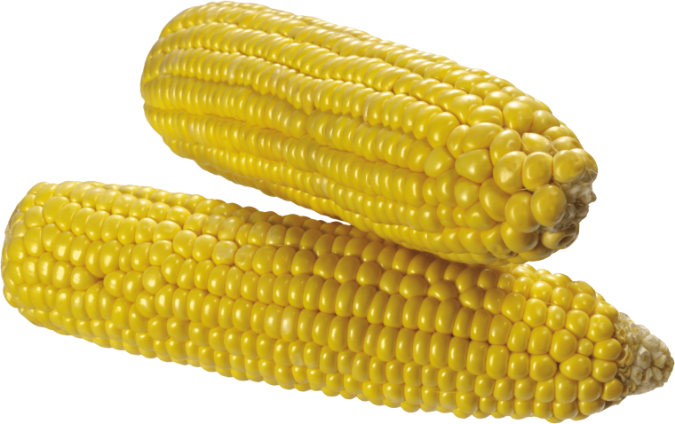 Семена кукурузы китайский 958