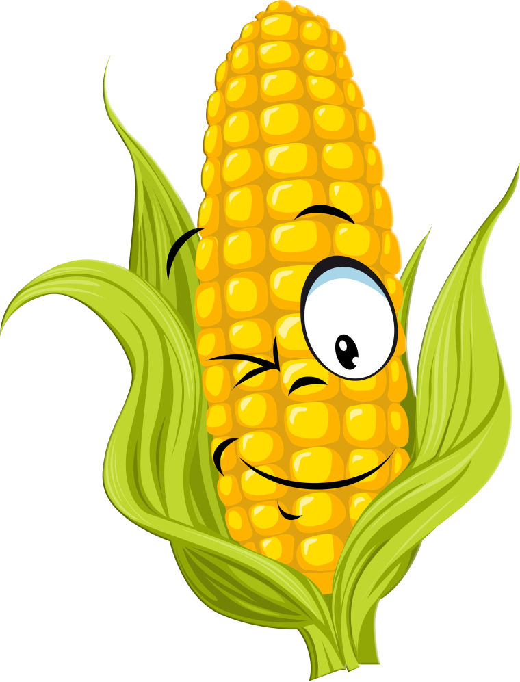 Кукуруза Corn