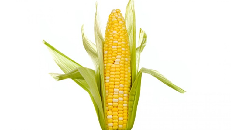 Кукурузный початок