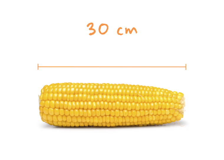 Кукуруза на белом фоне