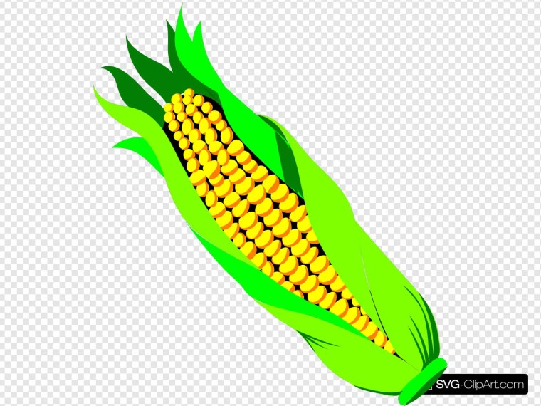 Маисовая кукуруза