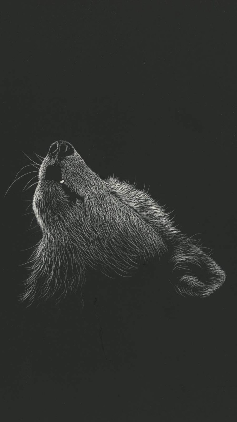 Чёрные обои на айфон 11