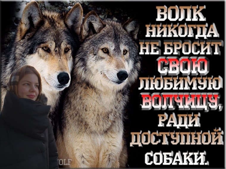 Волк и волчица с надписью