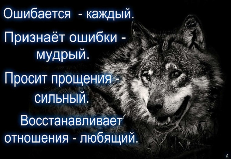 Красивые цитаты с волками