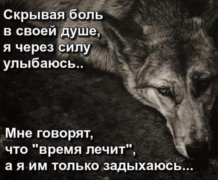 Одинокий волк цитаты