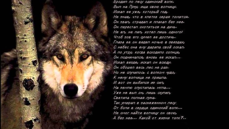 Евгений Бондаренко Алексеевка