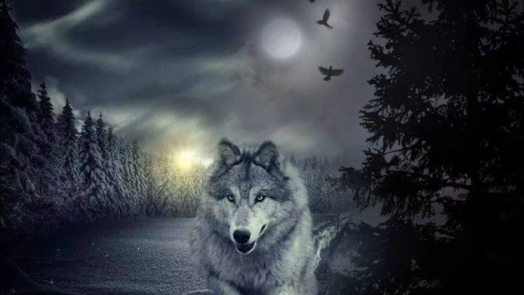 Одинокий волк с надписью