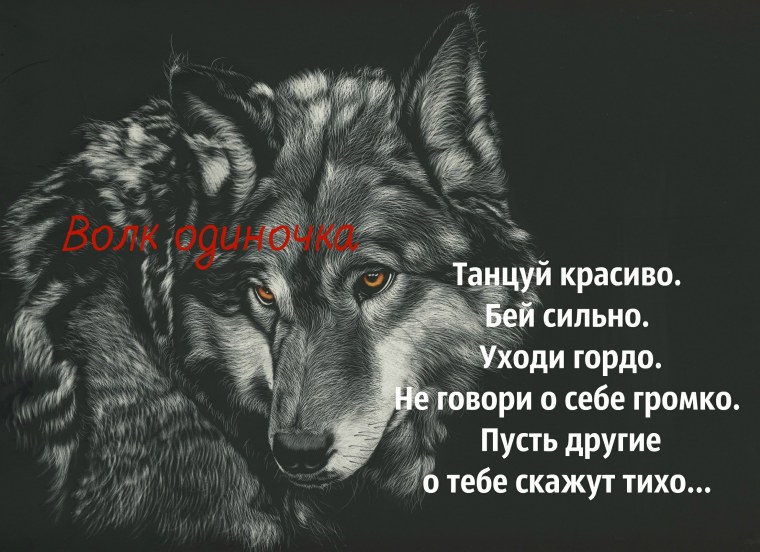 Цитаты про Волков со смыслом