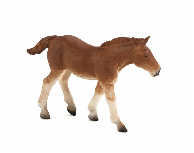 Детские мальчики лошадки