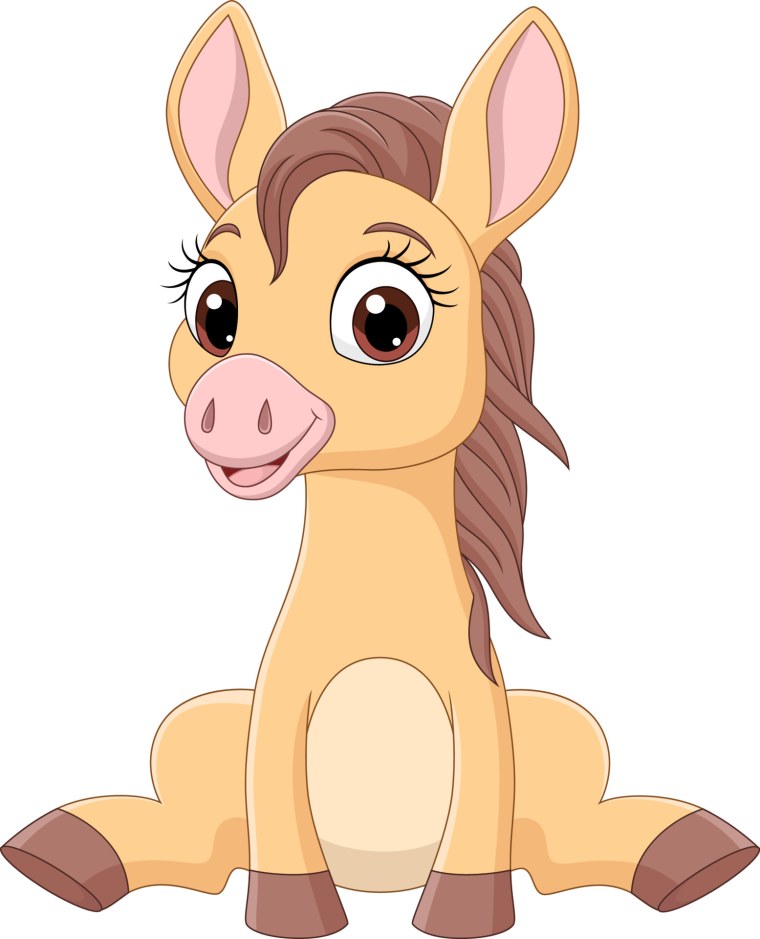 Белый жеребенок на белом фоне