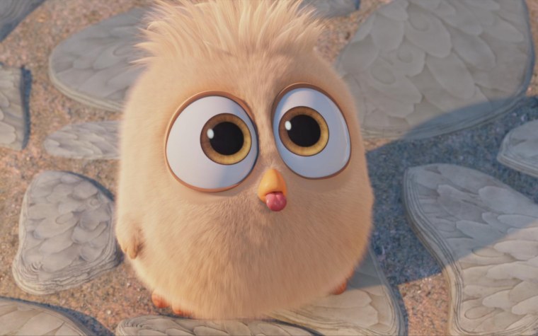 Энгри бердз птенцы мультфильм