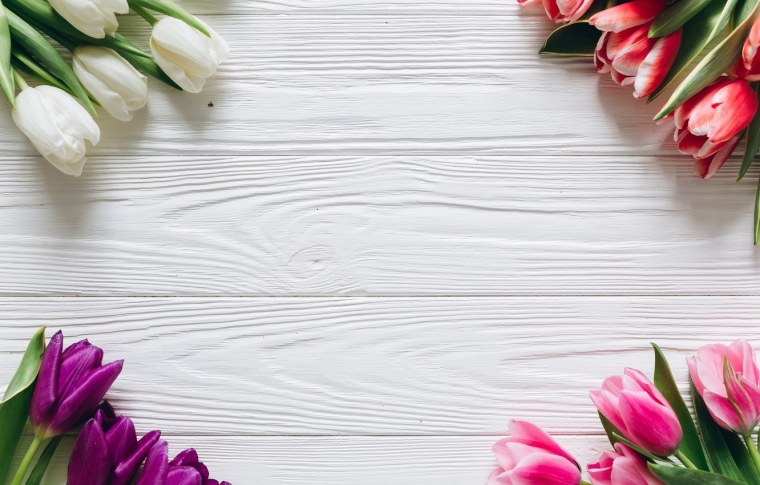 Тюльпаны фон