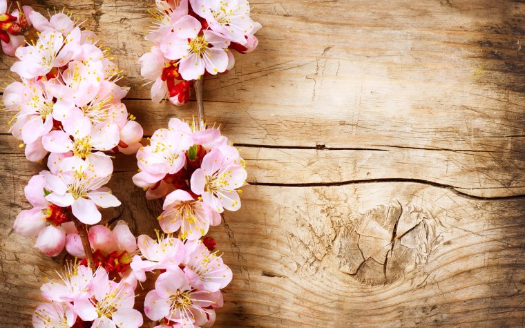 Цветы на деревянном фоне