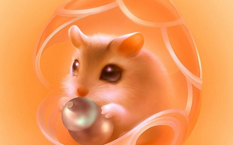 Хомяк на аву