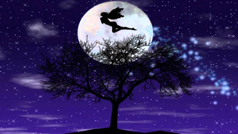 Птица на фоне Луны