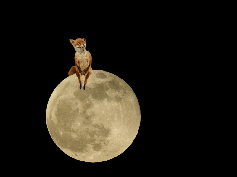 УГАРНАЯ Луна