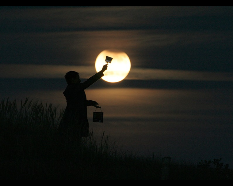 Фотограф Лоран Лаведер