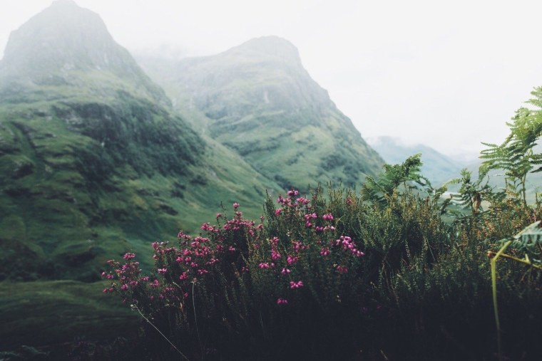 Эстетика природы