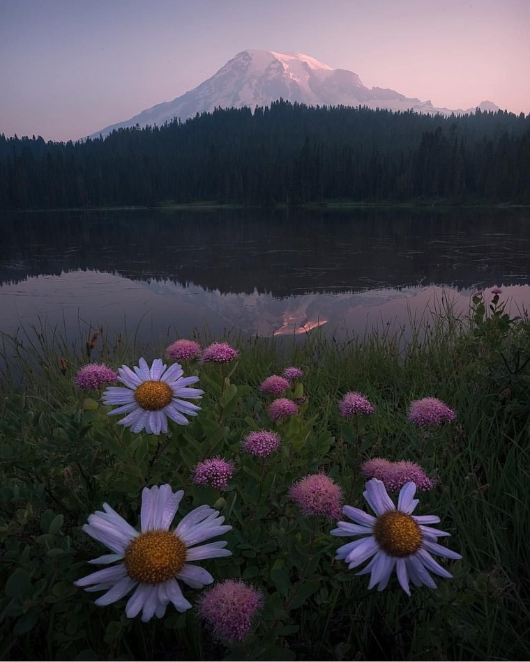 Эстетичная природа