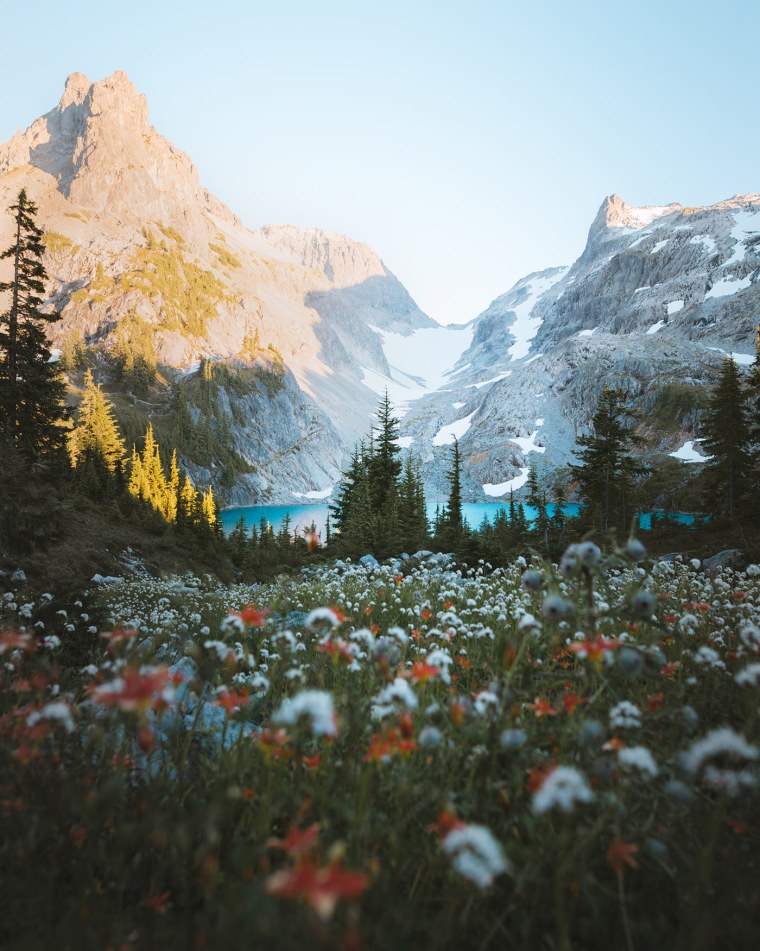 Эстетика природы