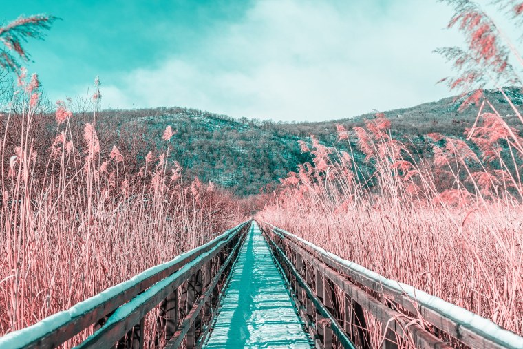 Эстетика природы розовые