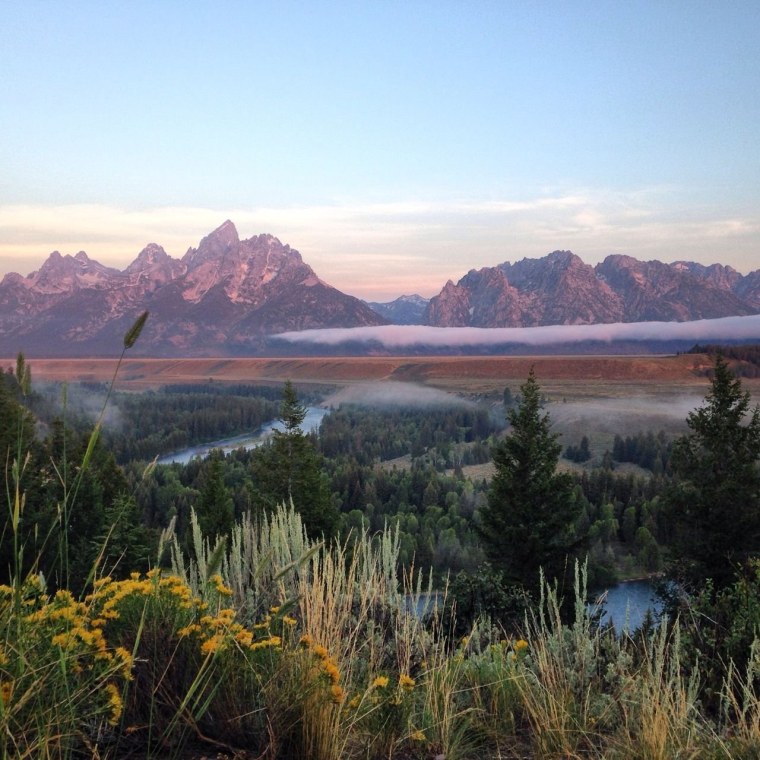 Эстетические пейзажи