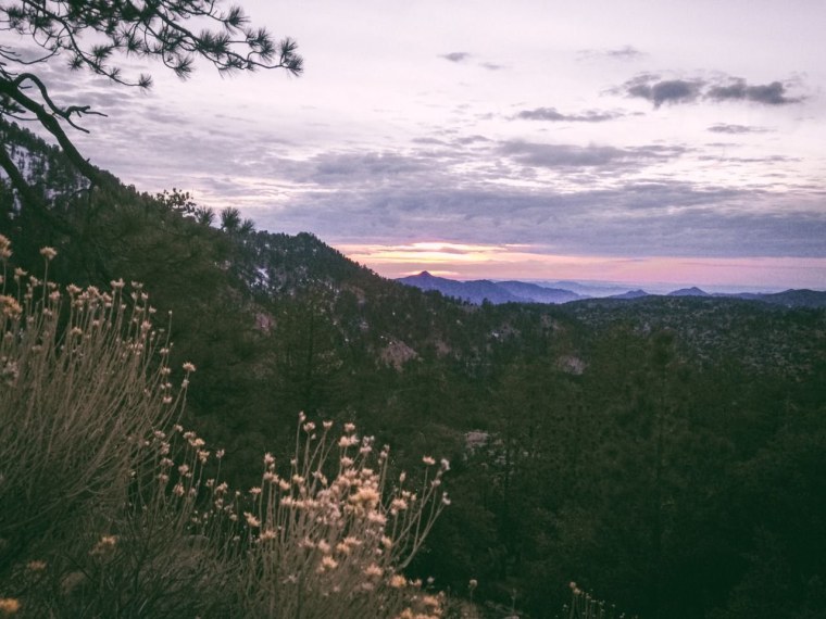 Пейзаж Эстетика