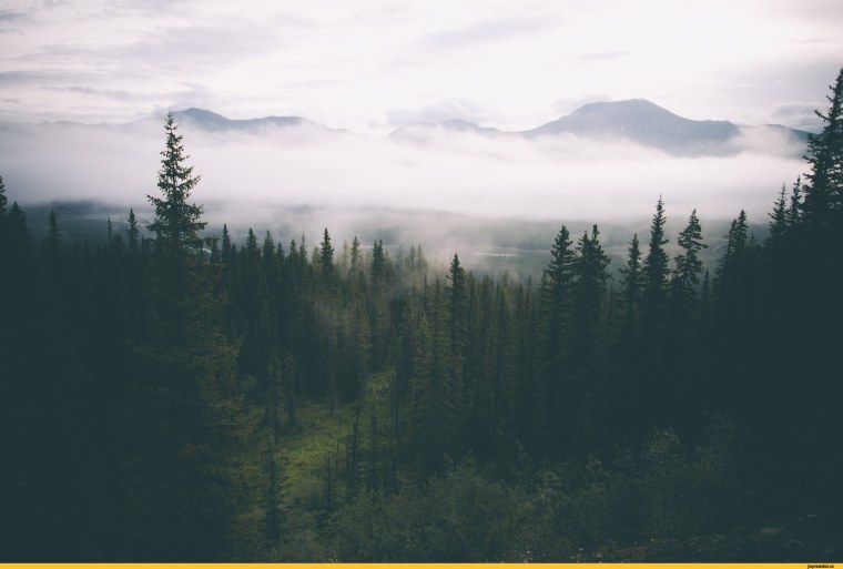 Эстетичная природа