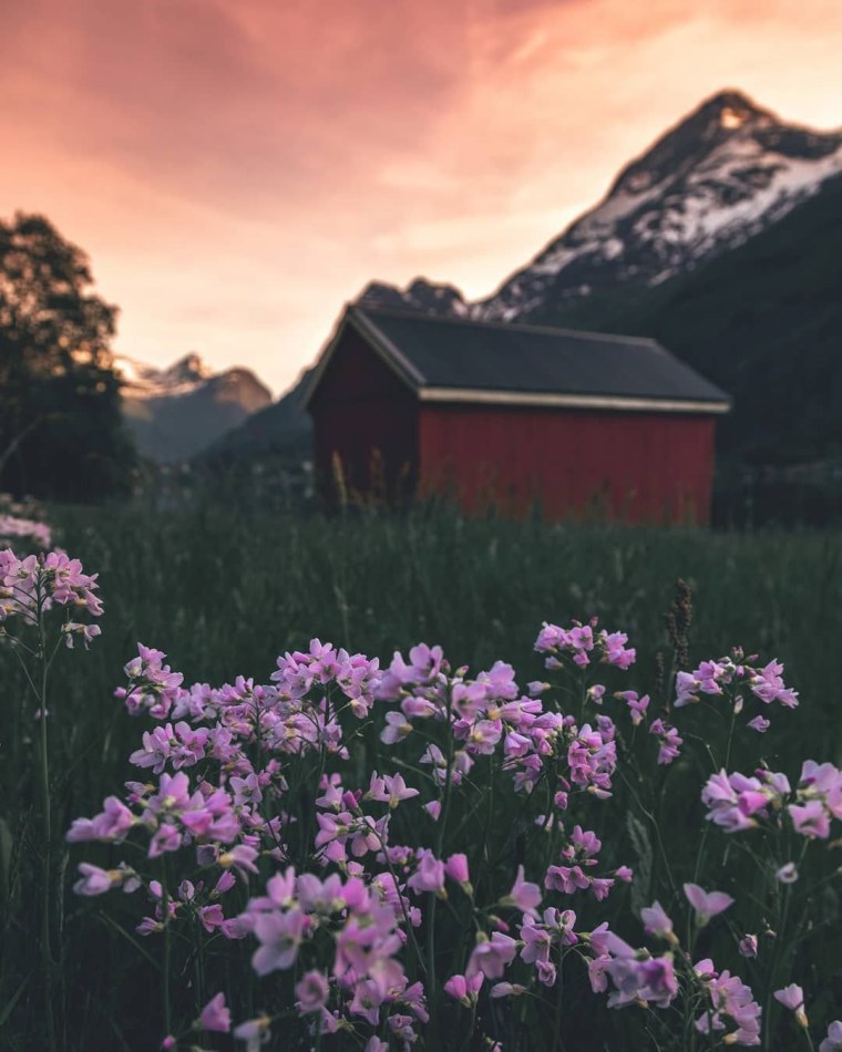 Поляна Эстетика