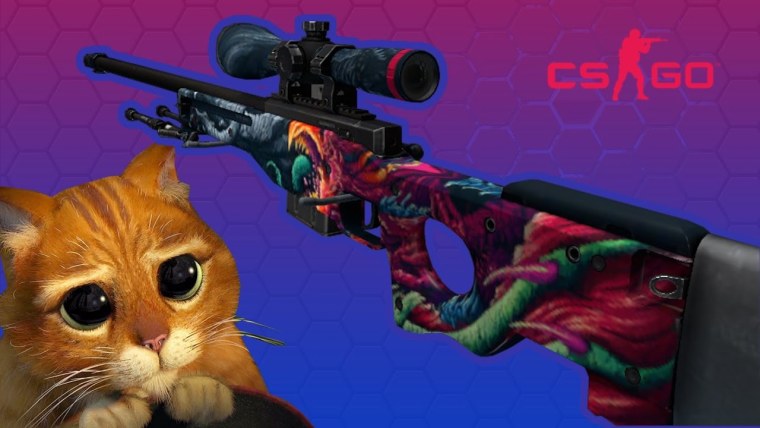 Кот с AWP