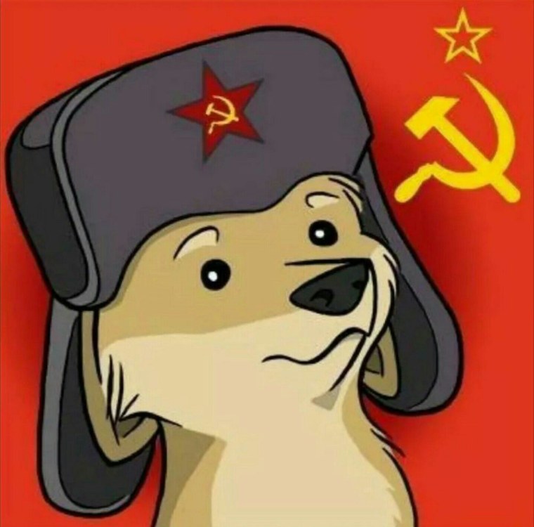 Собака в ушанке